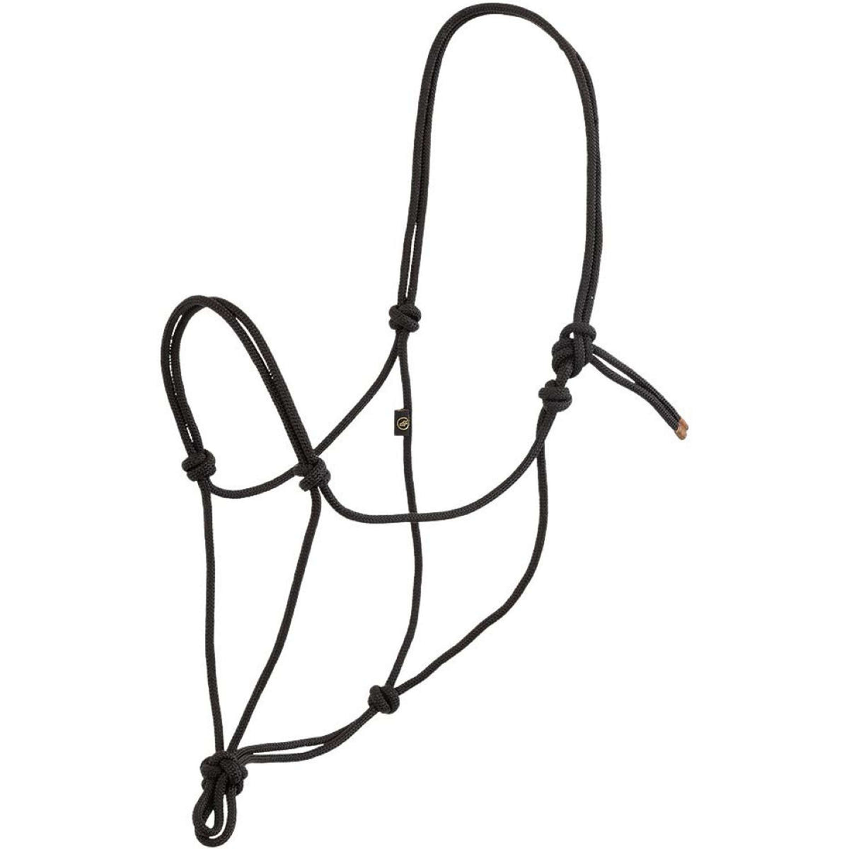 BR Capestro in Corda Meteorite