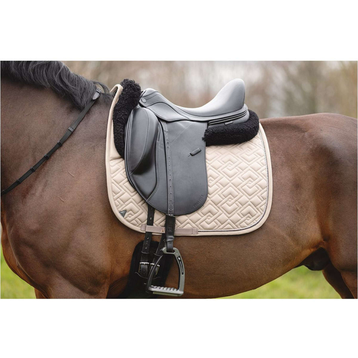 ANKY Sottosella Professional XB25001 3C Moon Rock