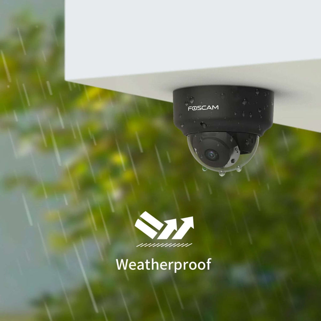Birth Alarm Telecamera PoE