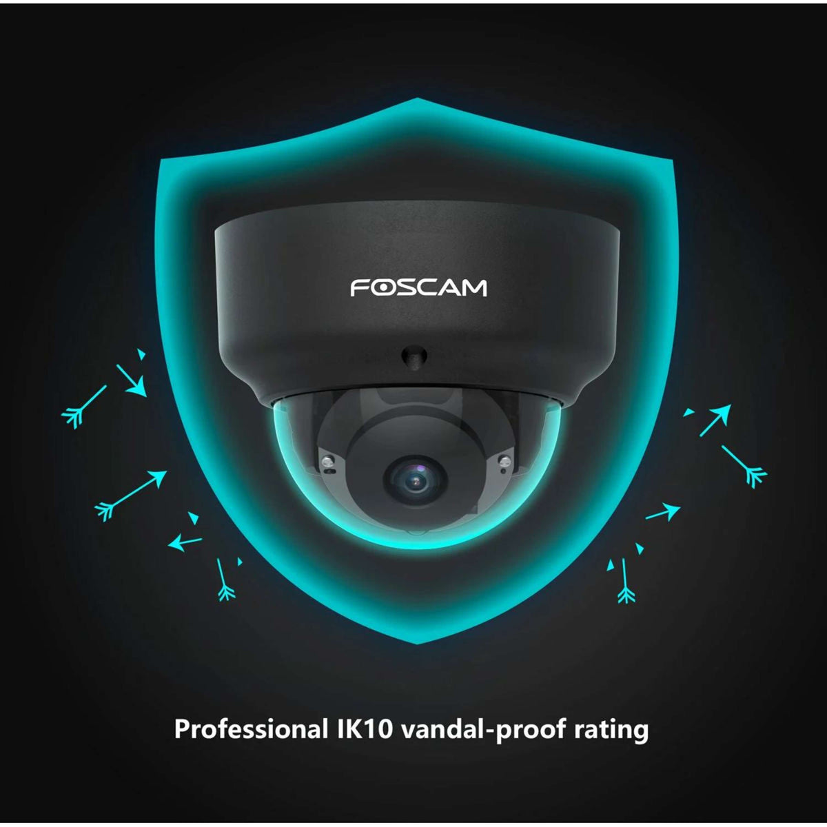 Birth Alarm Telecamera PoE