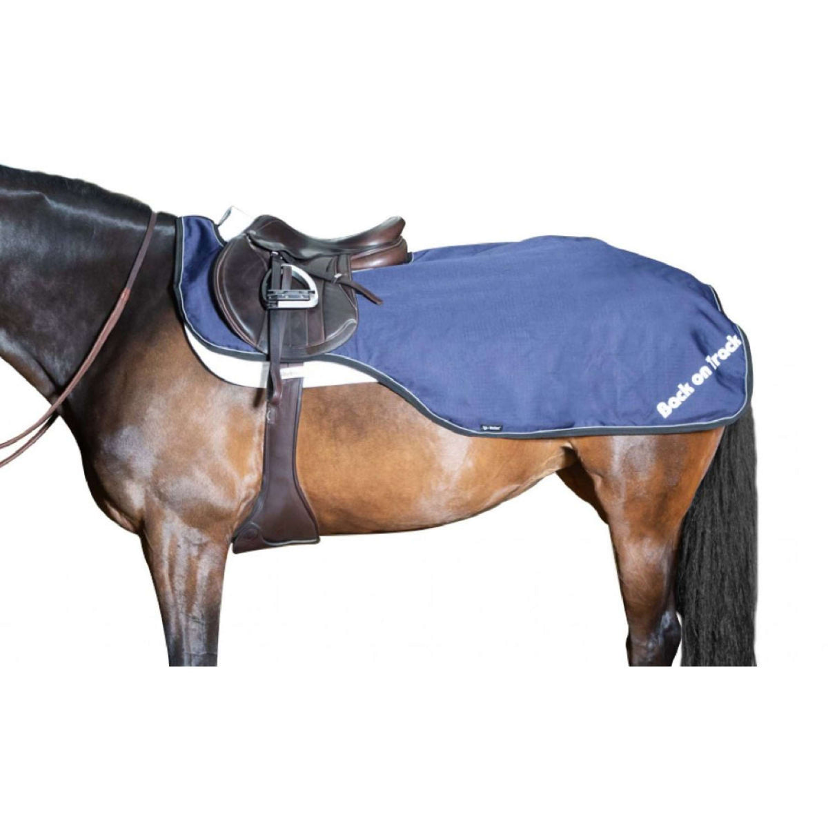Back on Track Coperta da esercizio Sammy Blu