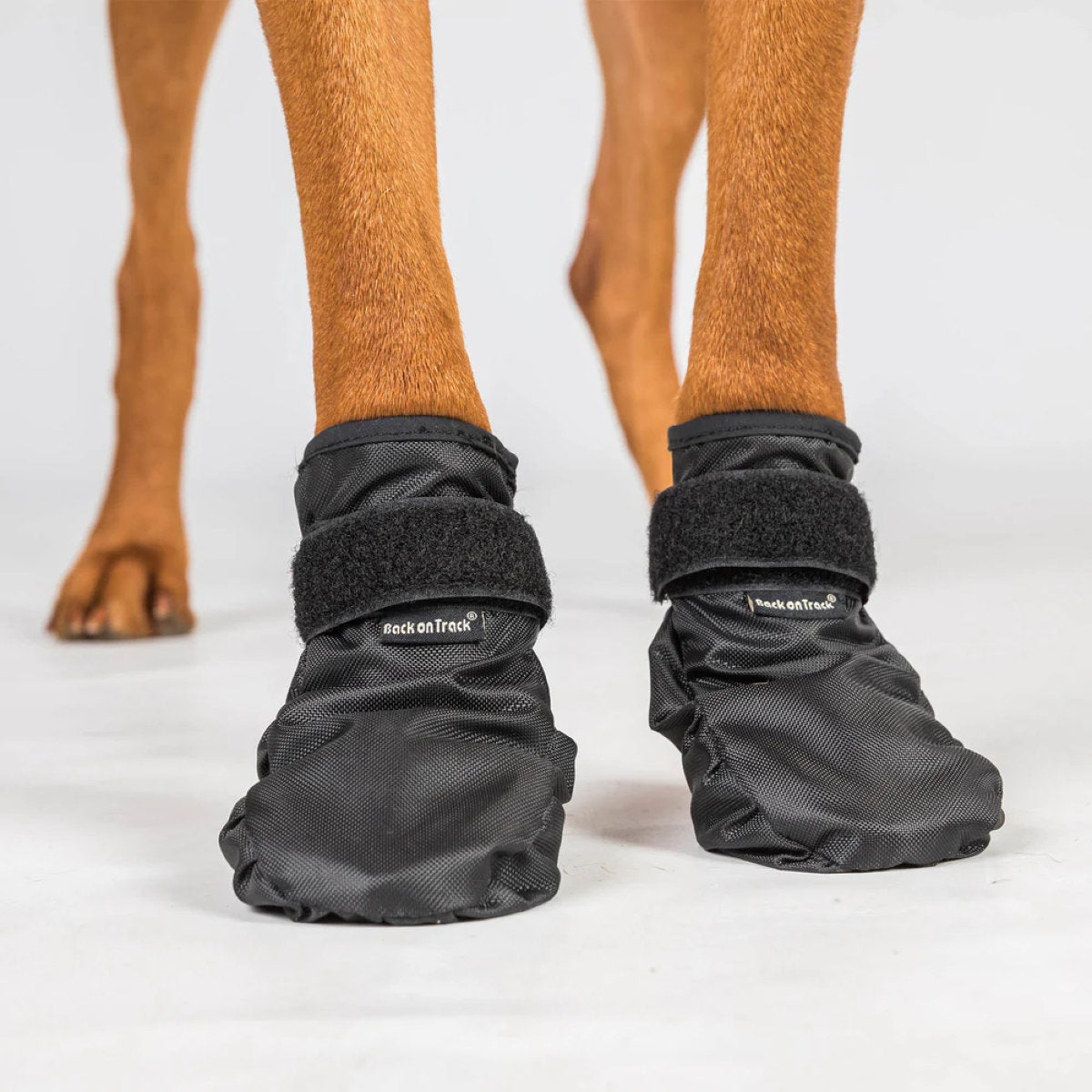 Back on Track Scarpe per Cani Koda Nero