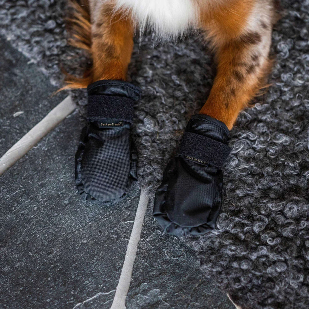Back on Track Scarpe per Cani Koda Nero