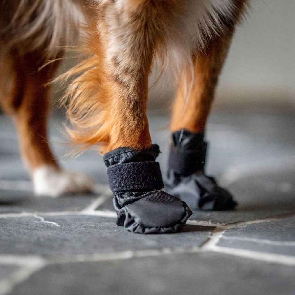 Back on Track Scarpe per Cani Koda Nero
