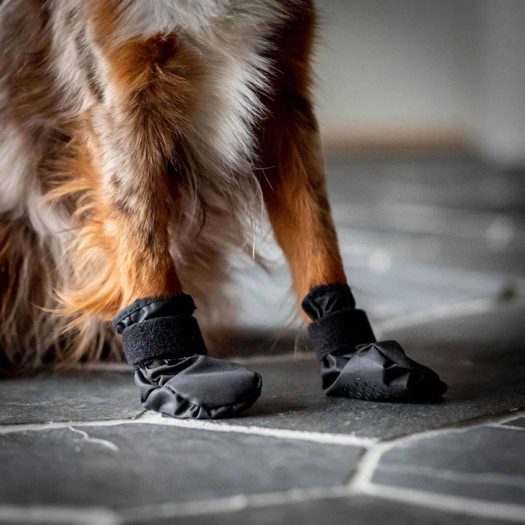 Back on Track Scarpe per Cani Koda Nero