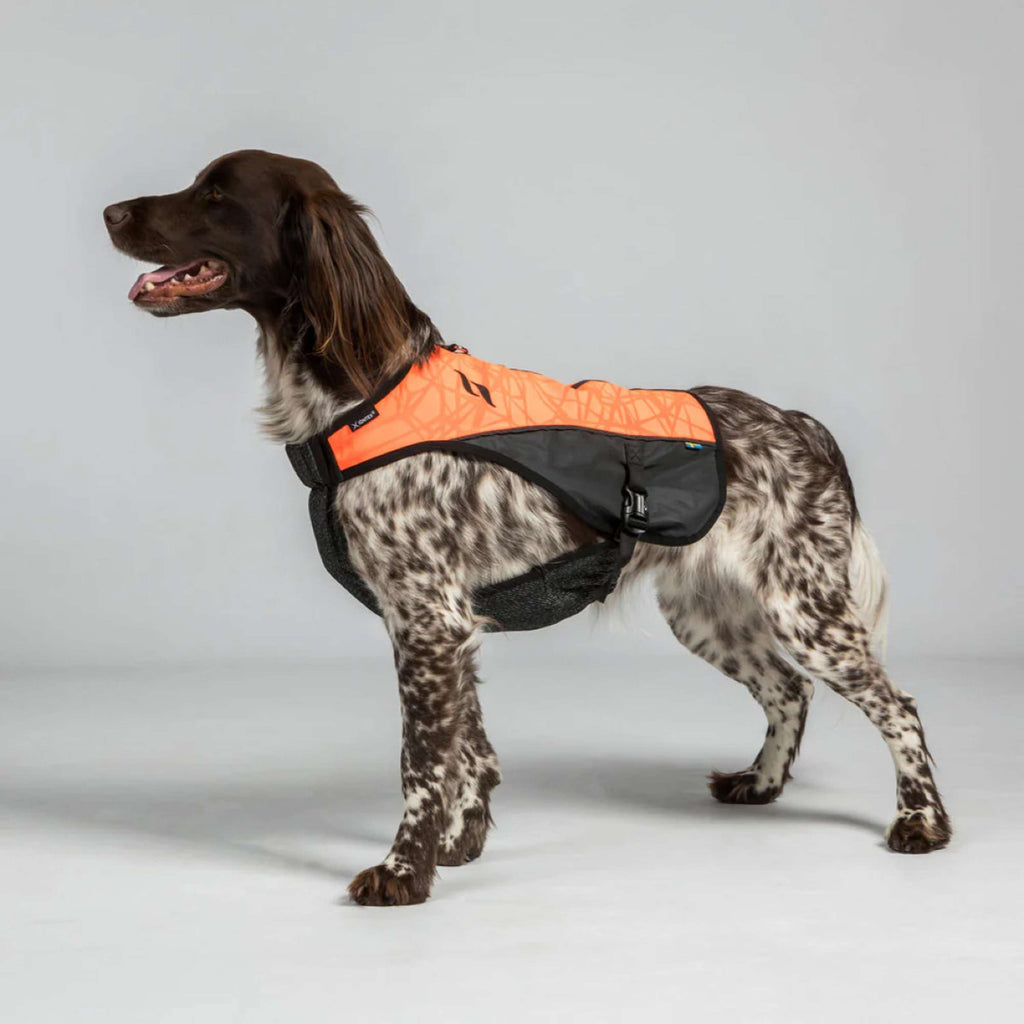 Back on Track Cappotto per Cane TRAKK Riflettente Arancia