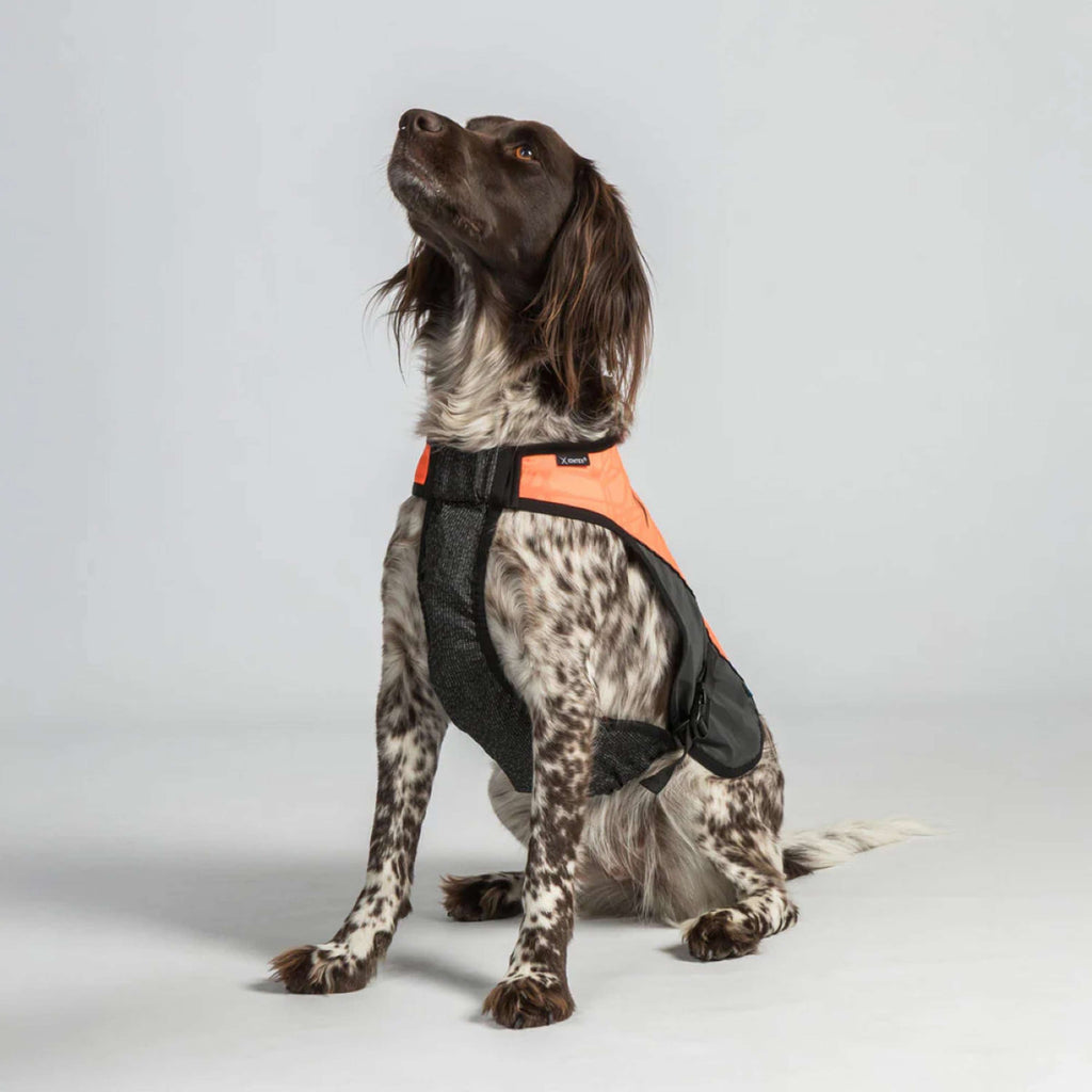 Back on Track Cappotto per Cane TRAKK Riflettente Arancia