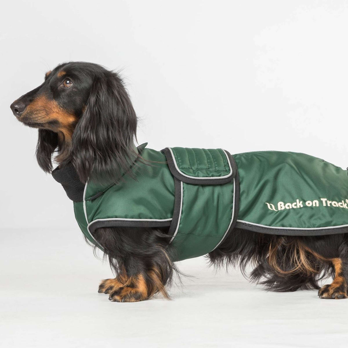 Back on Track Cappotto per Cane Buddy Verde