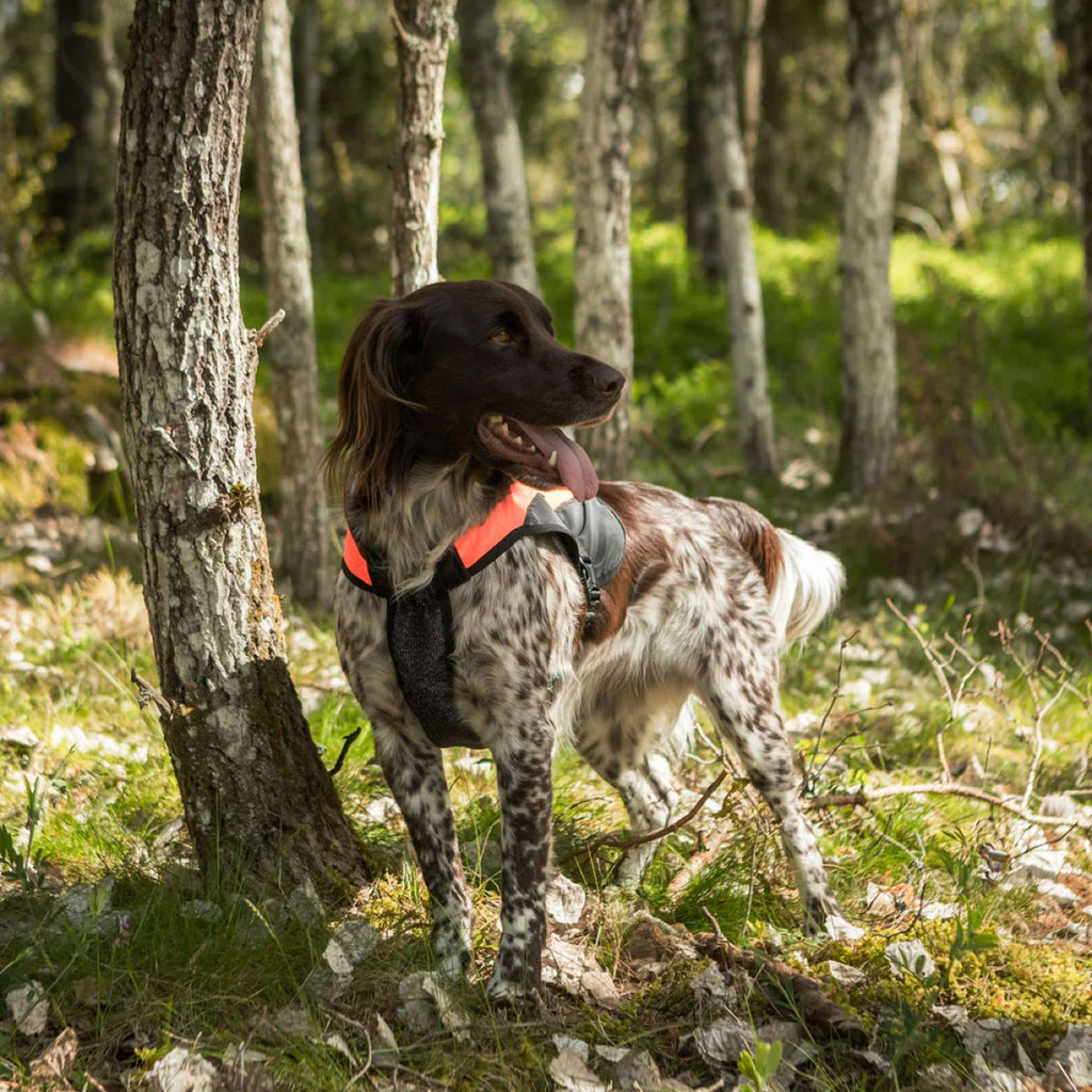 Back on Track Cappotto per Cane TRAKK Riflettente Arancia