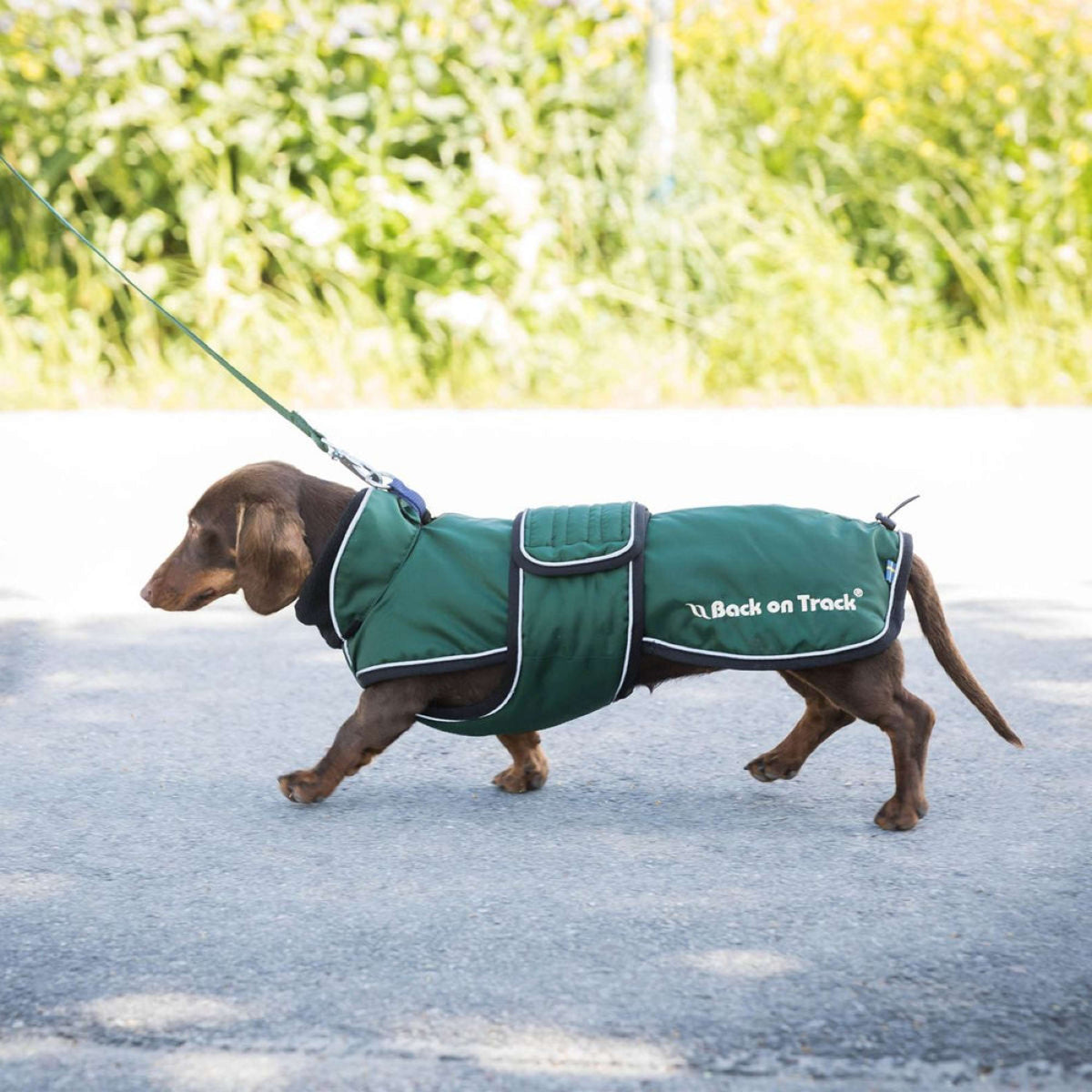 Back on Track Cappotto per Cane Buddy Verde