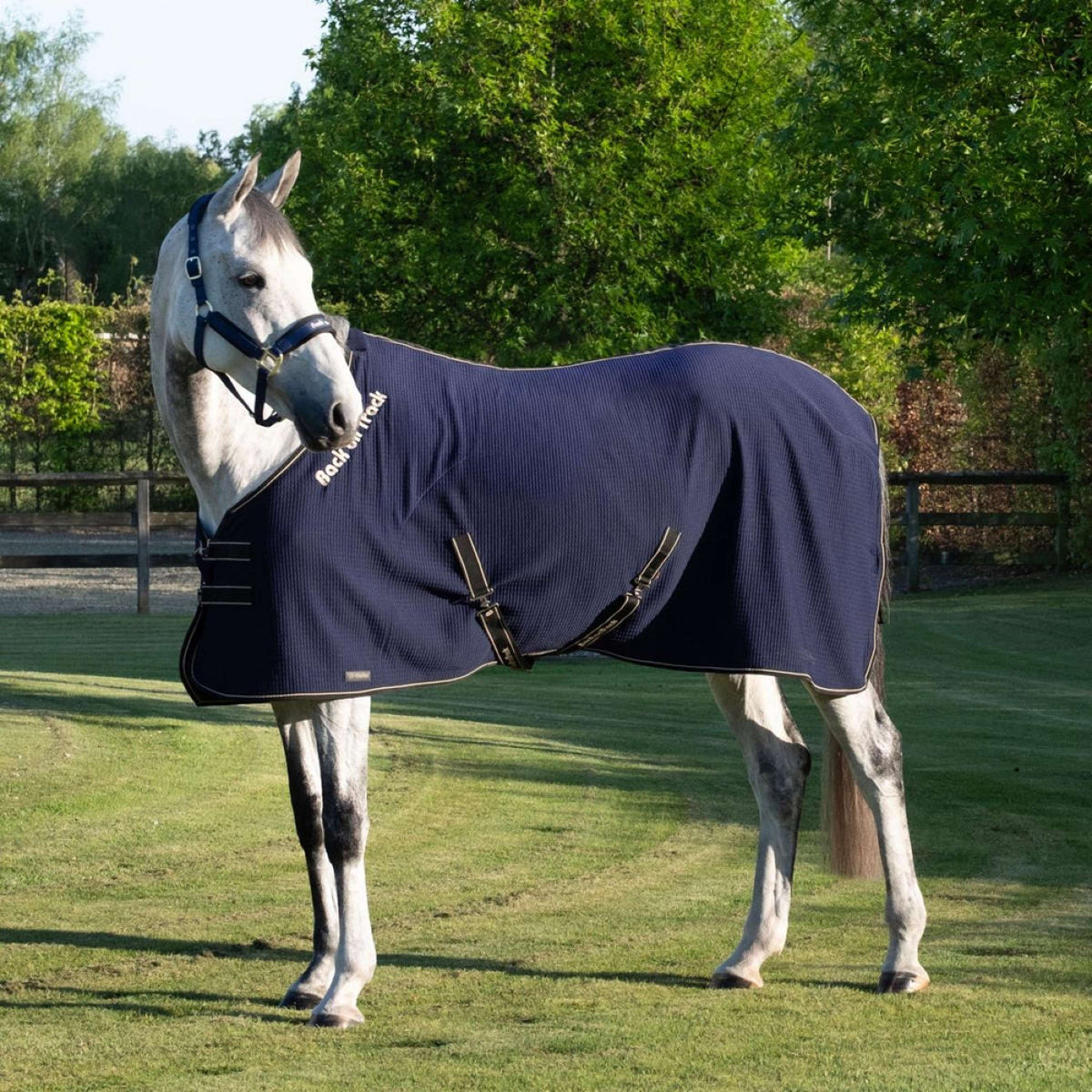 Back On Track Cooler Quick Blu