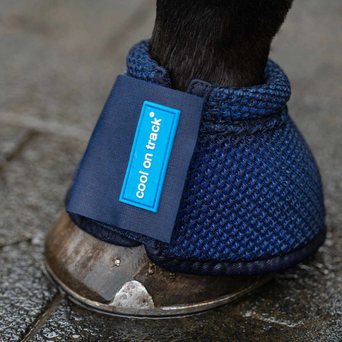 Back on Track Paraglomi Cooling Blu