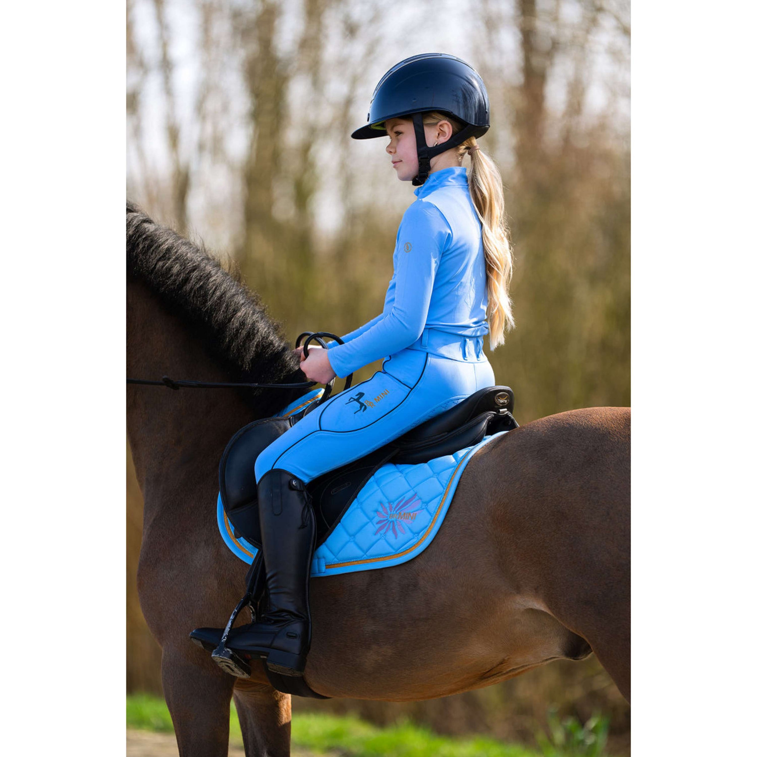 BR Sottosella Mini Horse Little Blue BR Sottosella Mini Horse Little Blue
