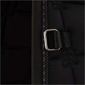 BR Sottosella CLX Dressage Meteorite