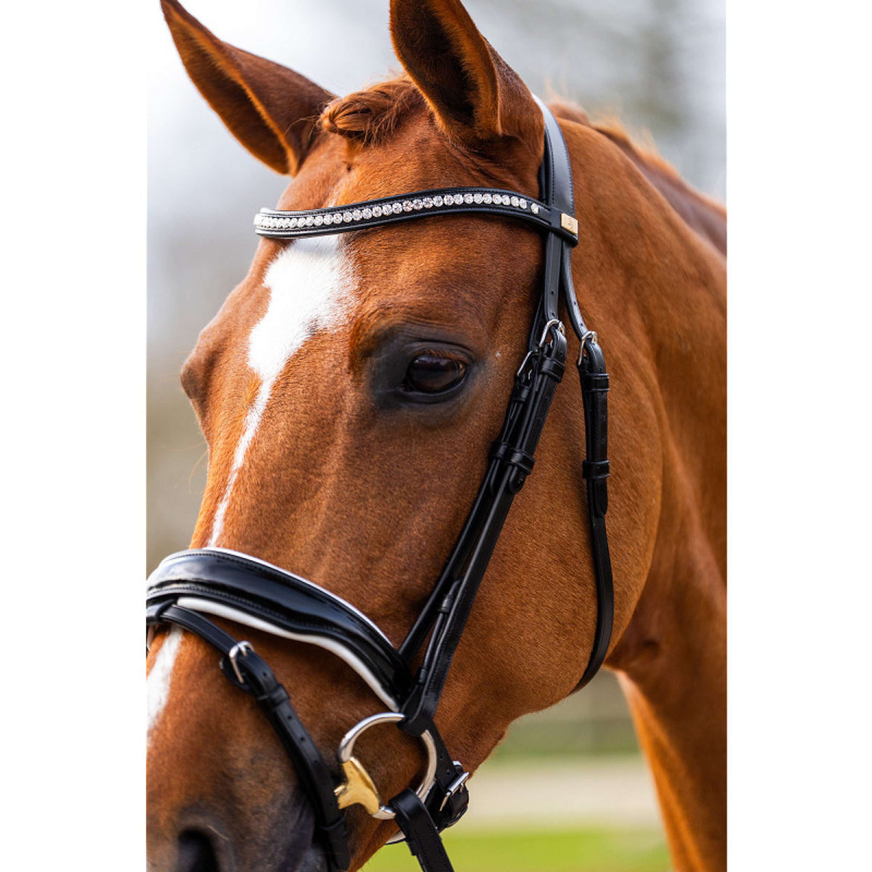 BR Briglia Hailsham Nero/Bianco