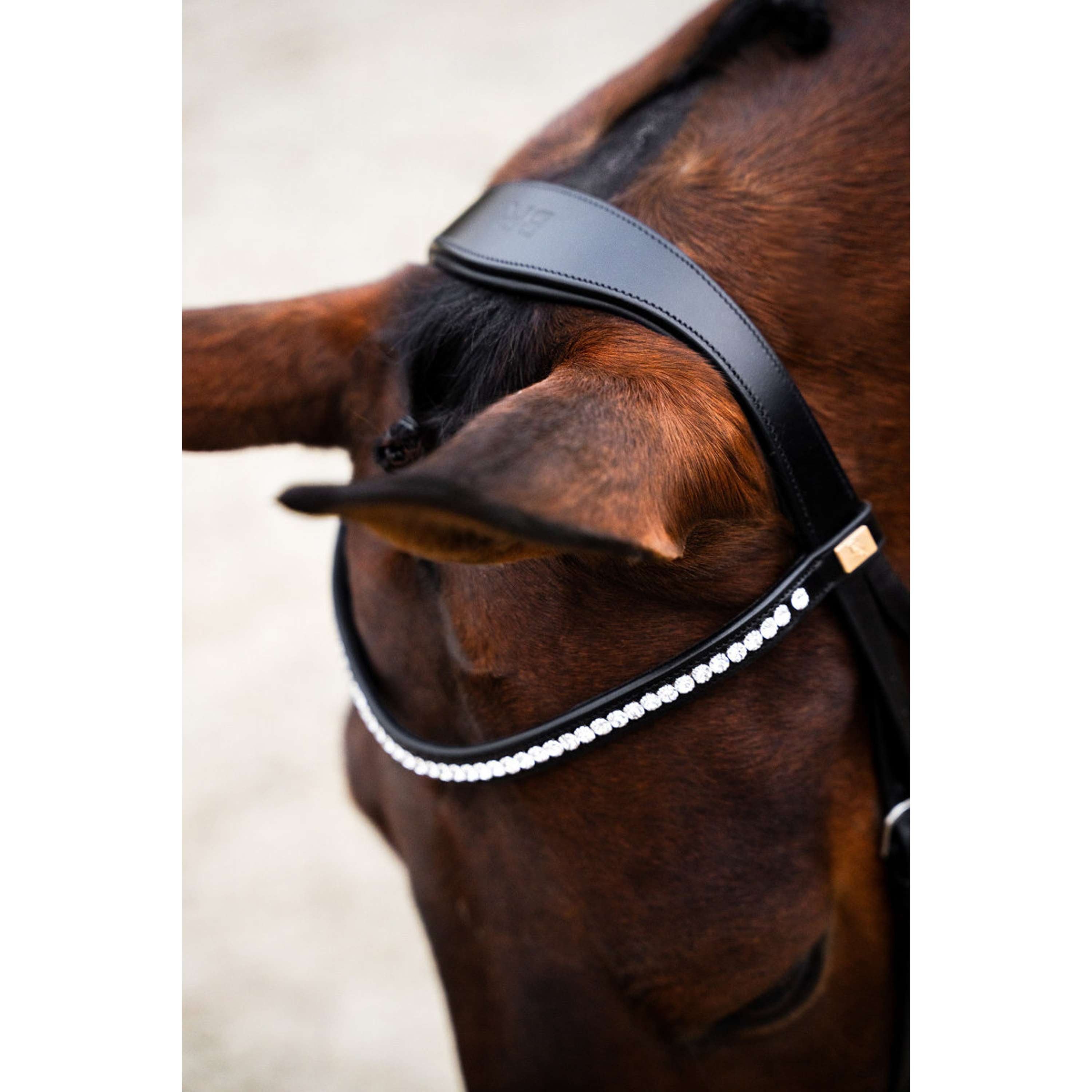 BR Briglia Southall Nero/Argento