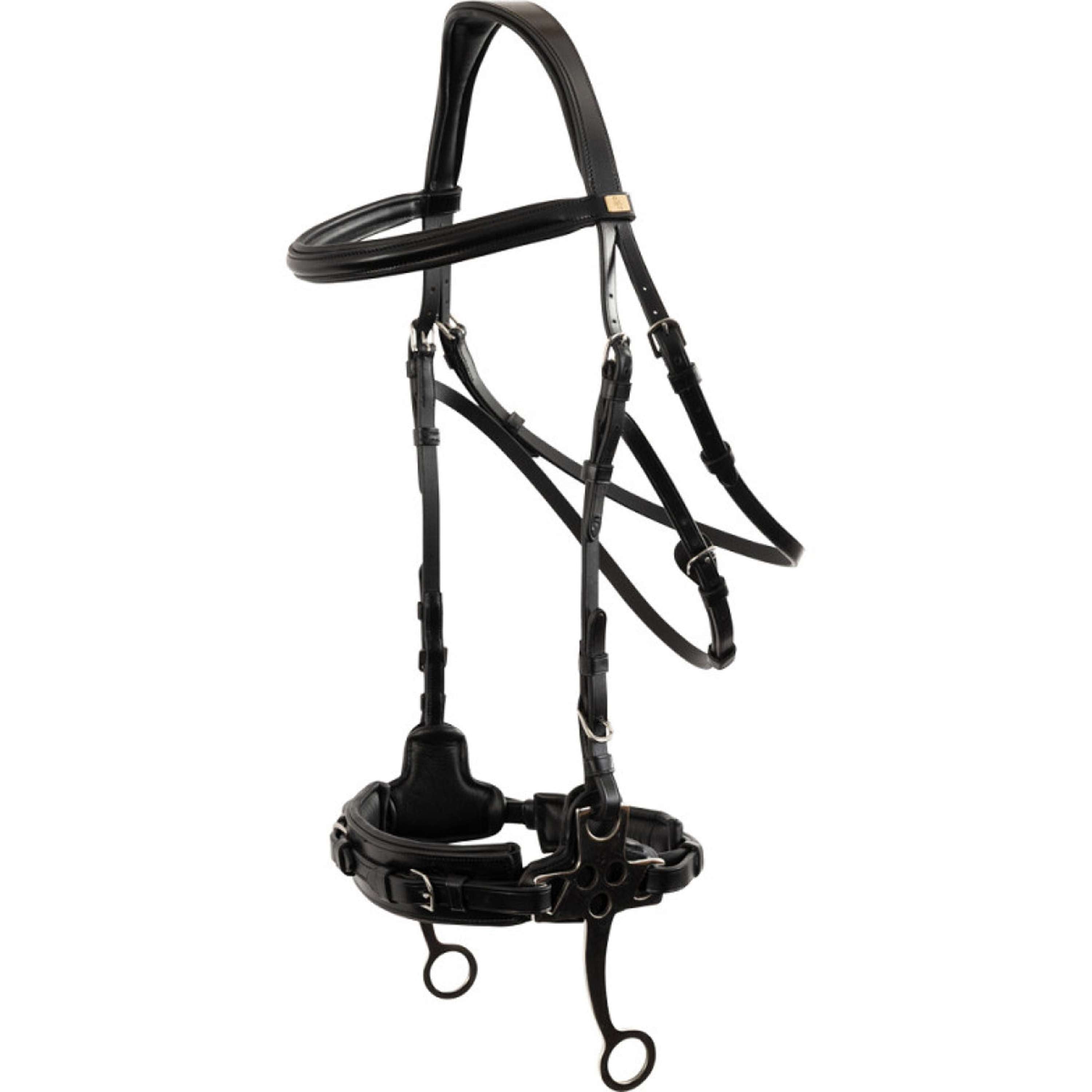 BR Hackamore Thornbury Nero/Argento