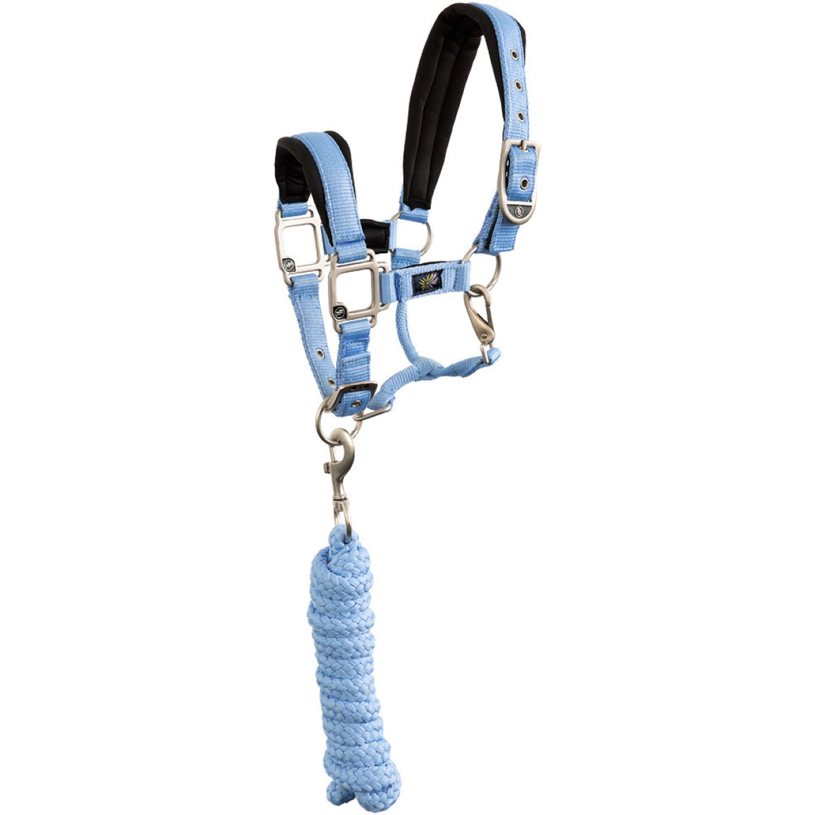 BR Set Cavezza Mini Horse Little Blue