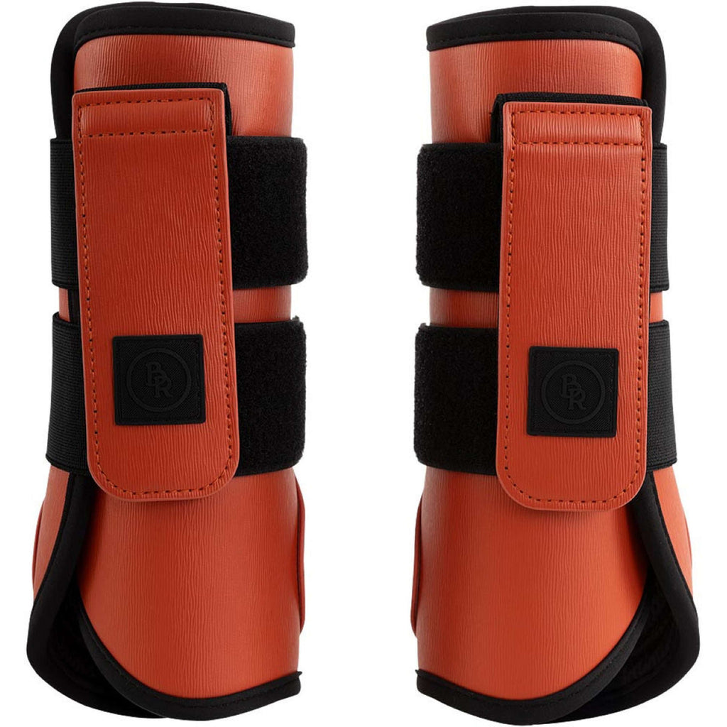 BR Parastinchi Karl Mecca Orange