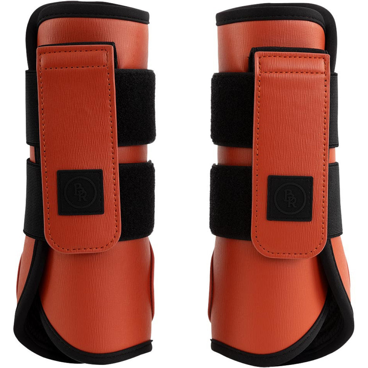 BR Parastinchi Karl Mecca Orange