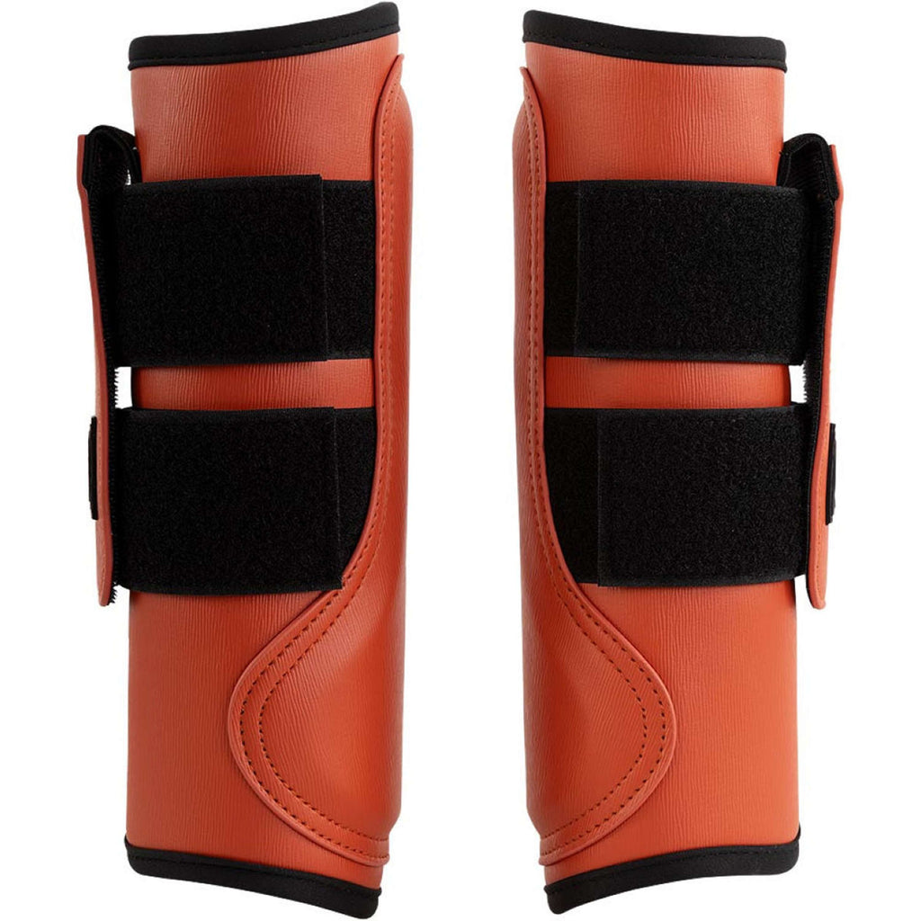 BR Parastinchi Karl Mecca Orange
