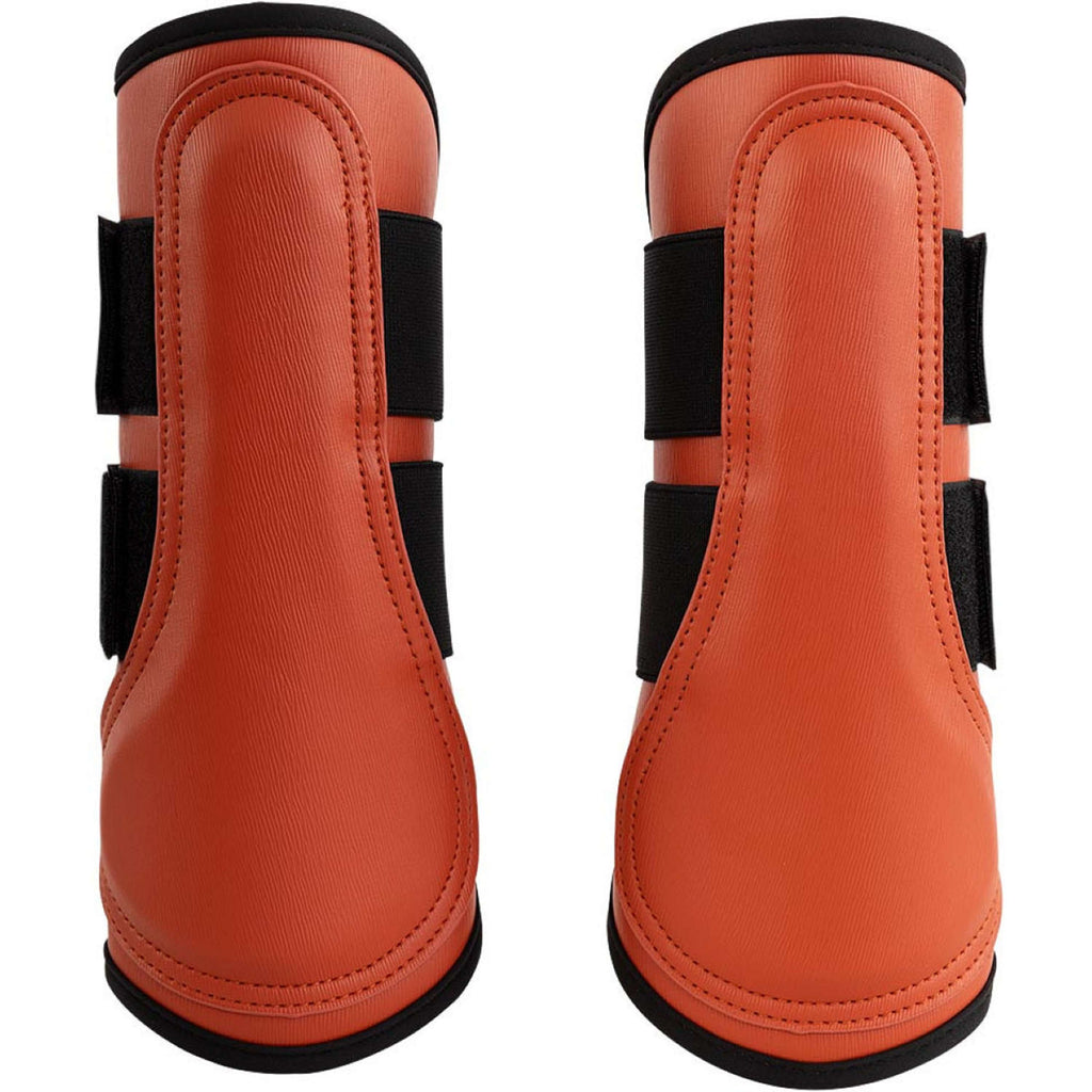 BR Parastinchi Karl Mecca Orange