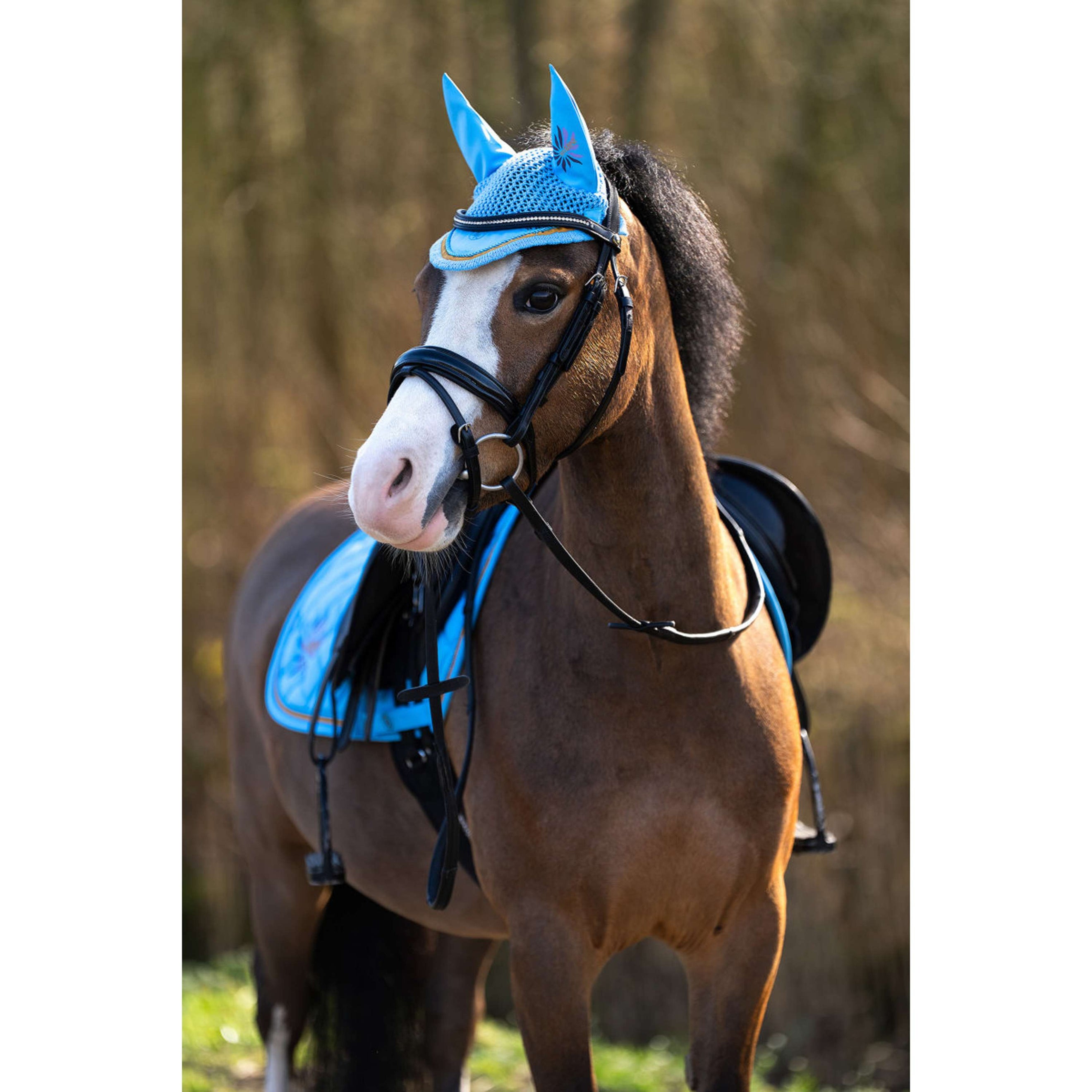 BR Cuffietta Mini Horse Little Blue
