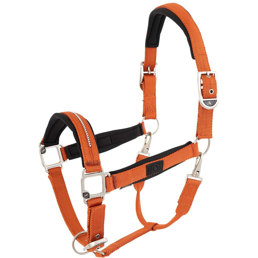 BR Cavezza Kimberly Neoprene Mecca Orange