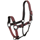 BR Cavezza Loes Maroon