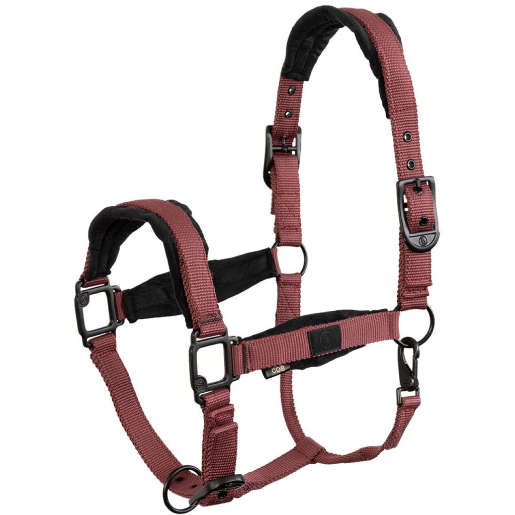 BR Cavezza Loran Maroon