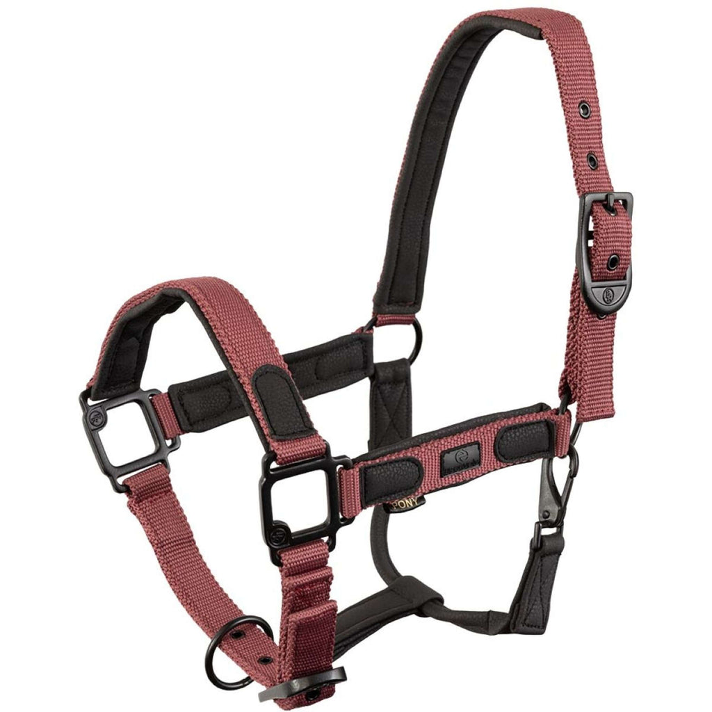 BR Cavezza Eevolv Laudine Maroon