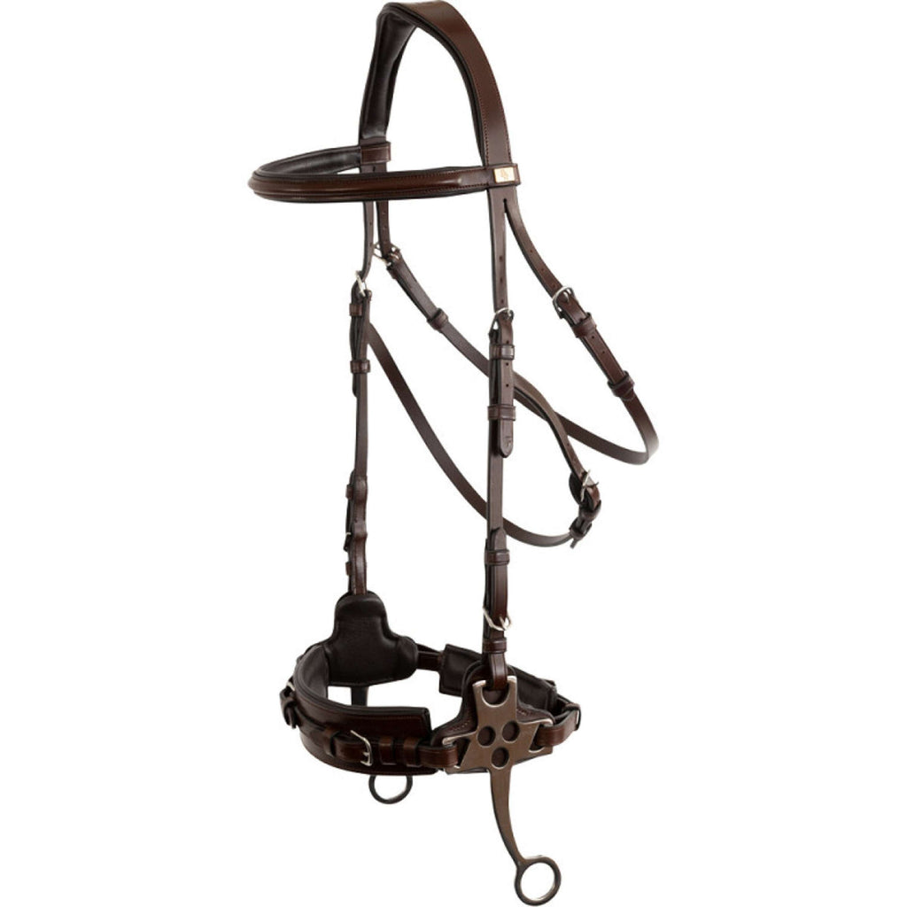 BR Hackamore Thornbury Quercia/Argento