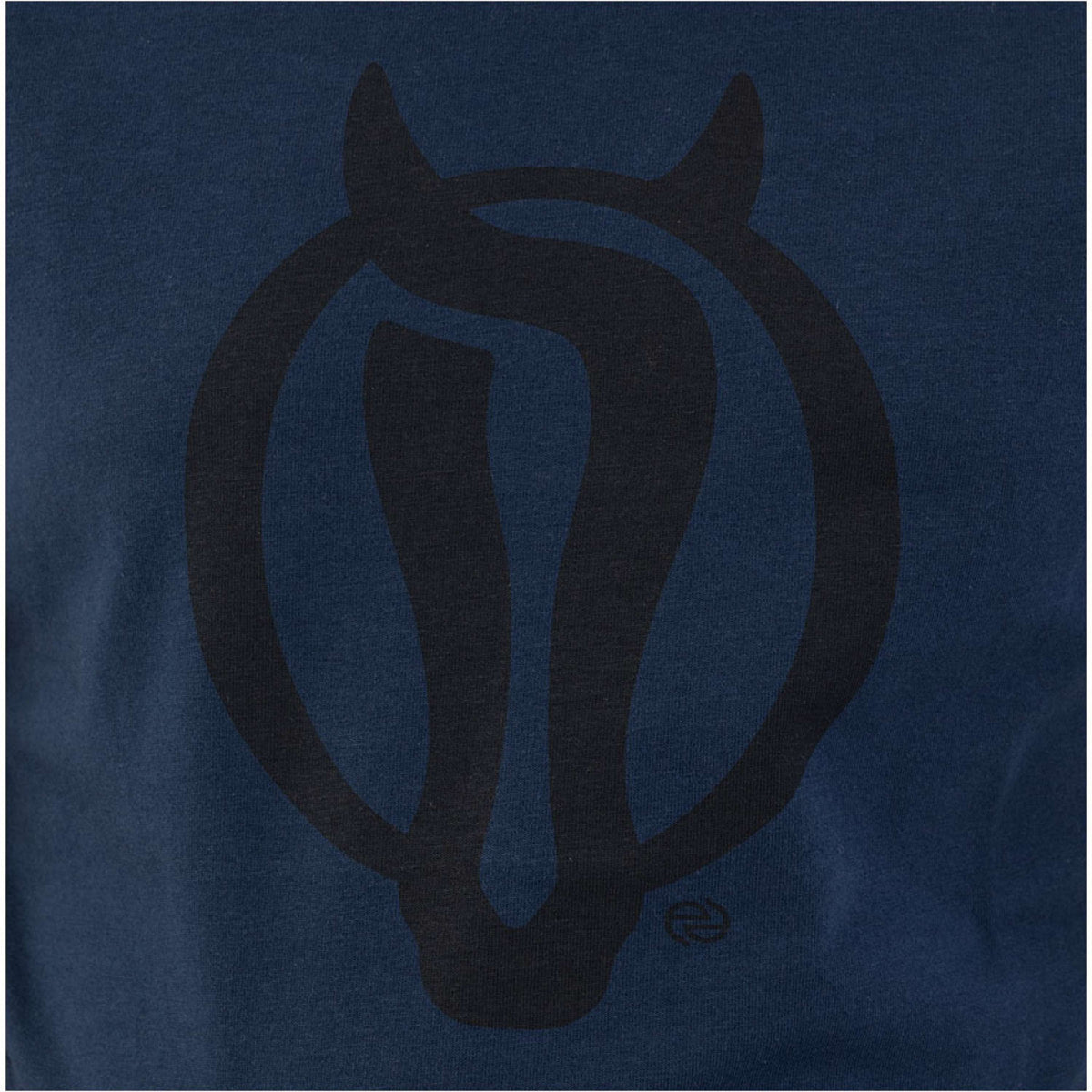 BR Maglietta Eevolv Krijn Kids Pageant Blue