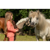 BR Mini Horse Cavallo a dondolo Beige