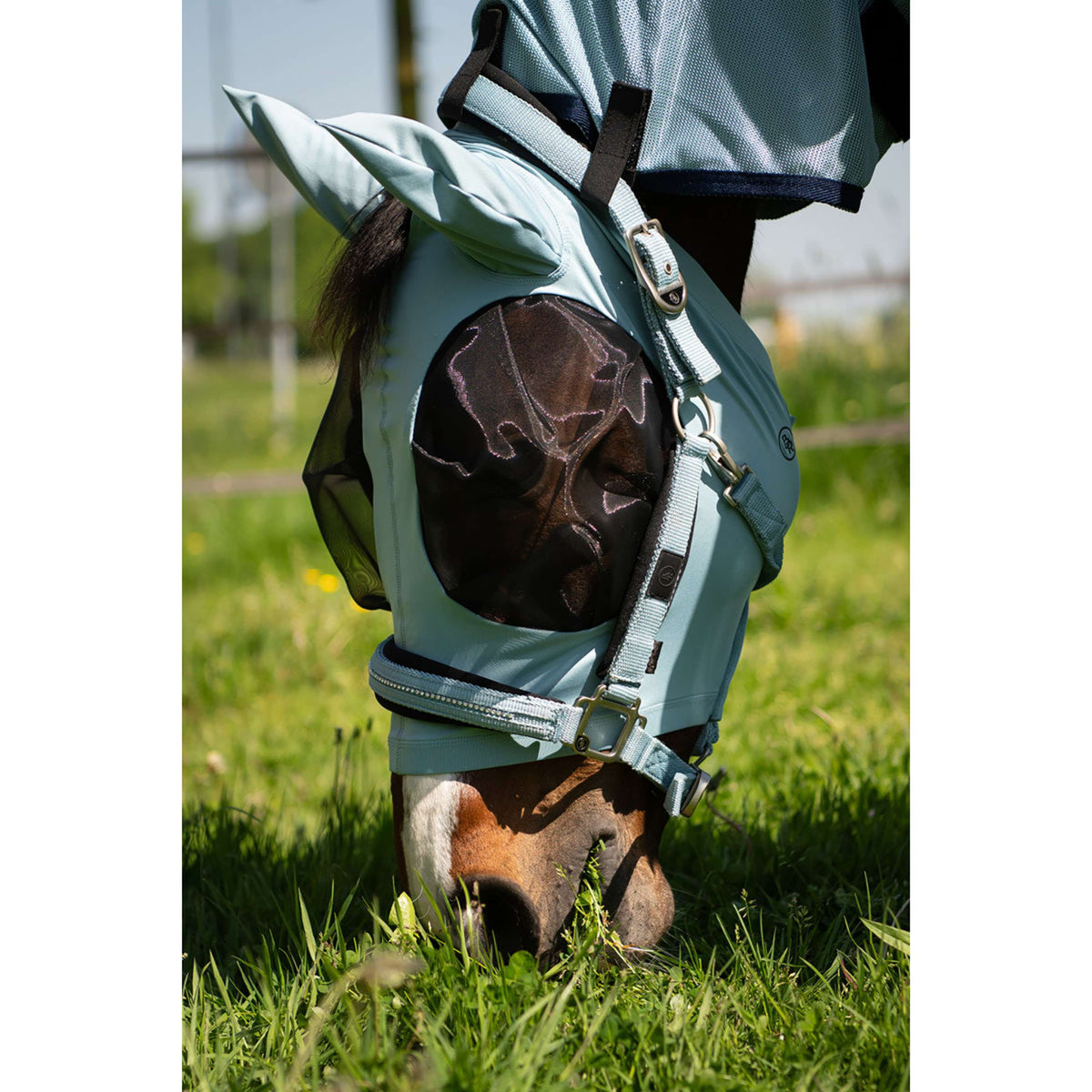 BR Capezzina Kimberly Neoprene Tourmaline