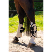 BR Parastinchi Karl Safari