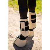 BR Parastinchi Karl Safari