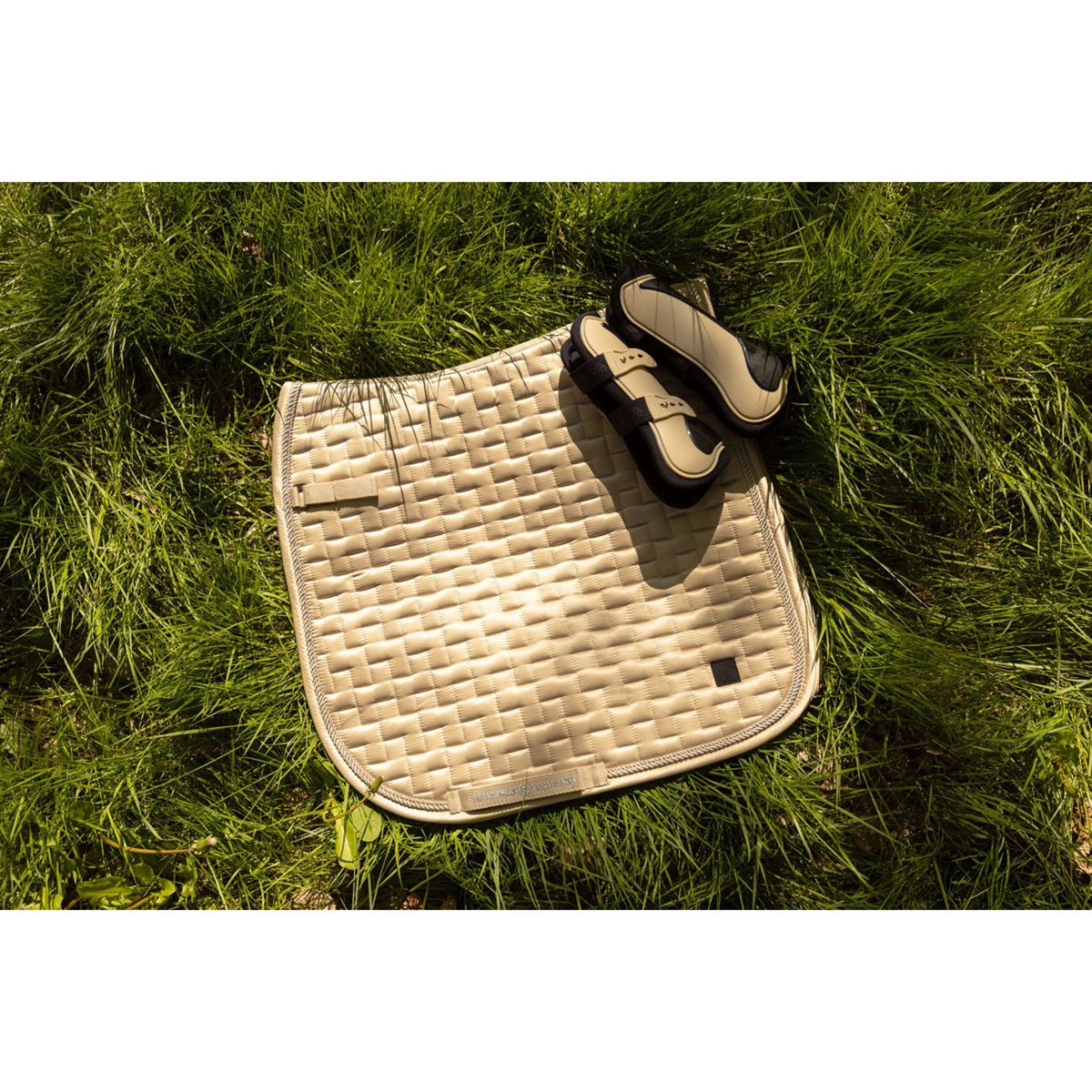 BR Stinchiere Kay Safari