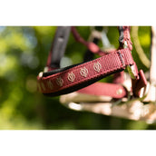 BR Capezzina Eevolv Karin New Maroon
