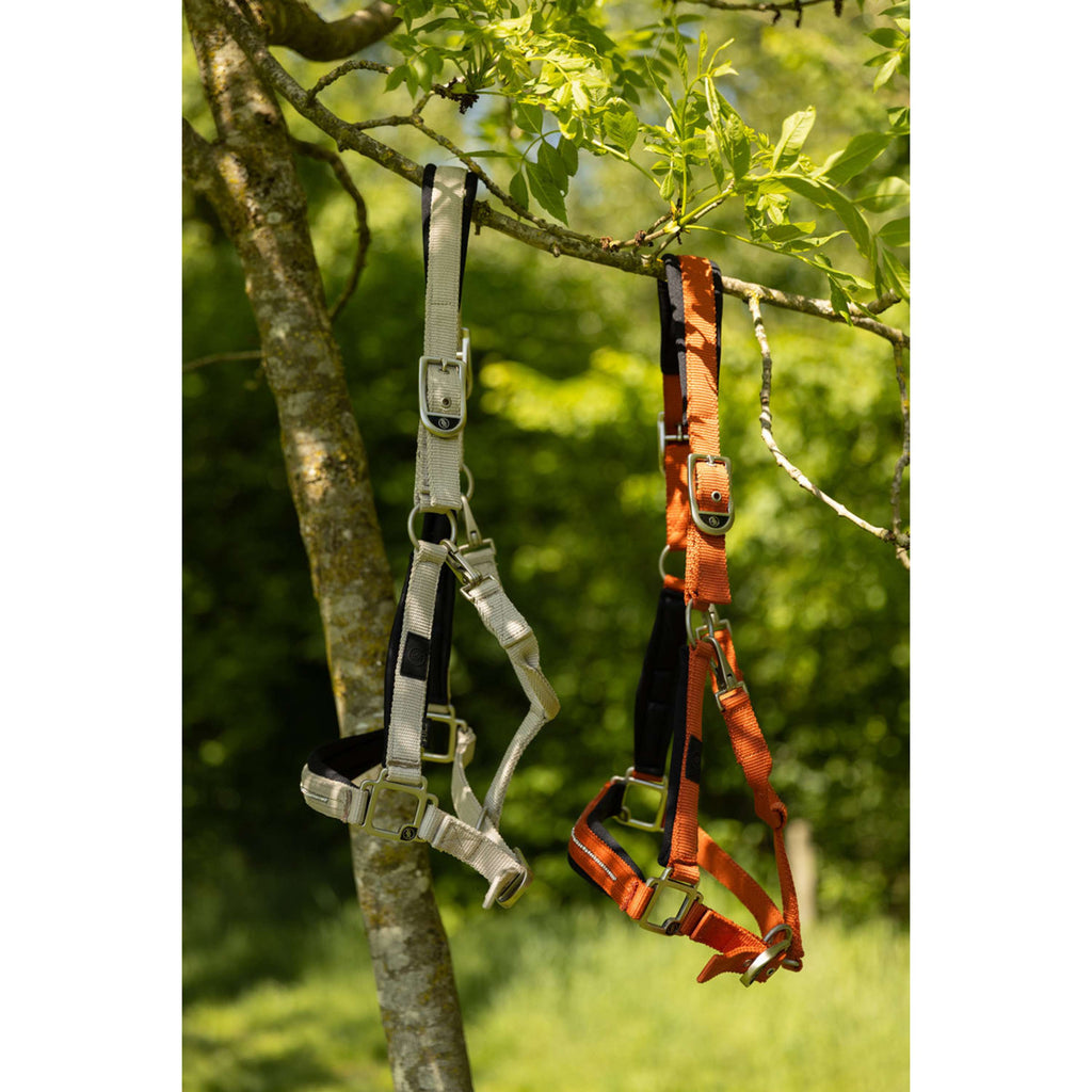 BR Cavezza Kimberly Neoprene Safari
