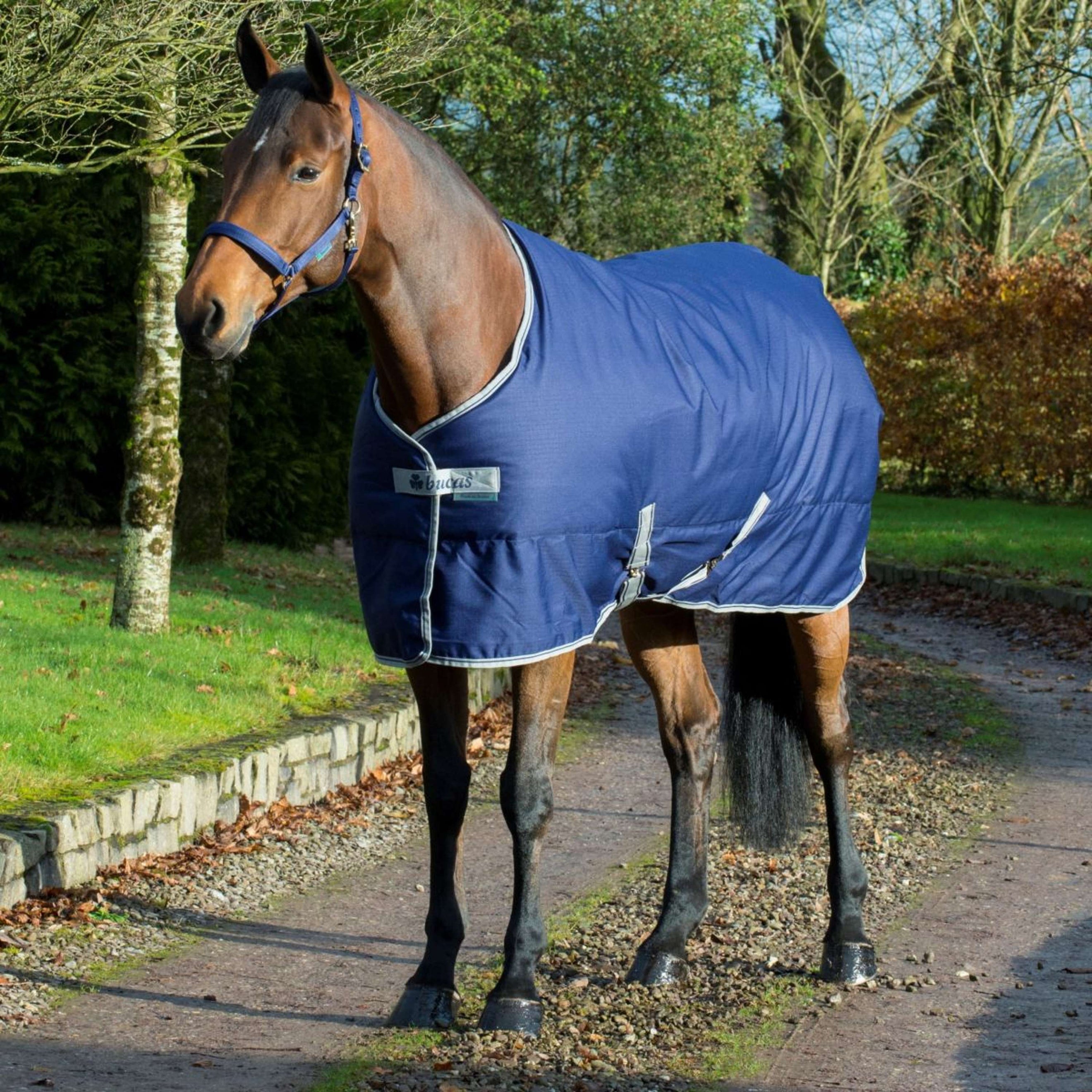 Bucas Freedom Coperta da Scuderia 150g Navy Bucas Freedom Coperta da Scuderia 150g Navy