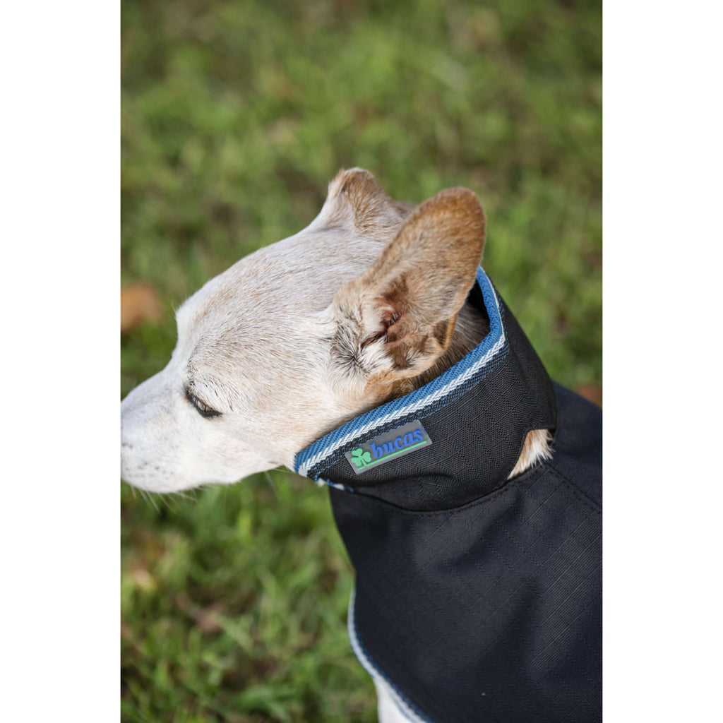 Bucas Anniversary Dog Rug Sapphire
