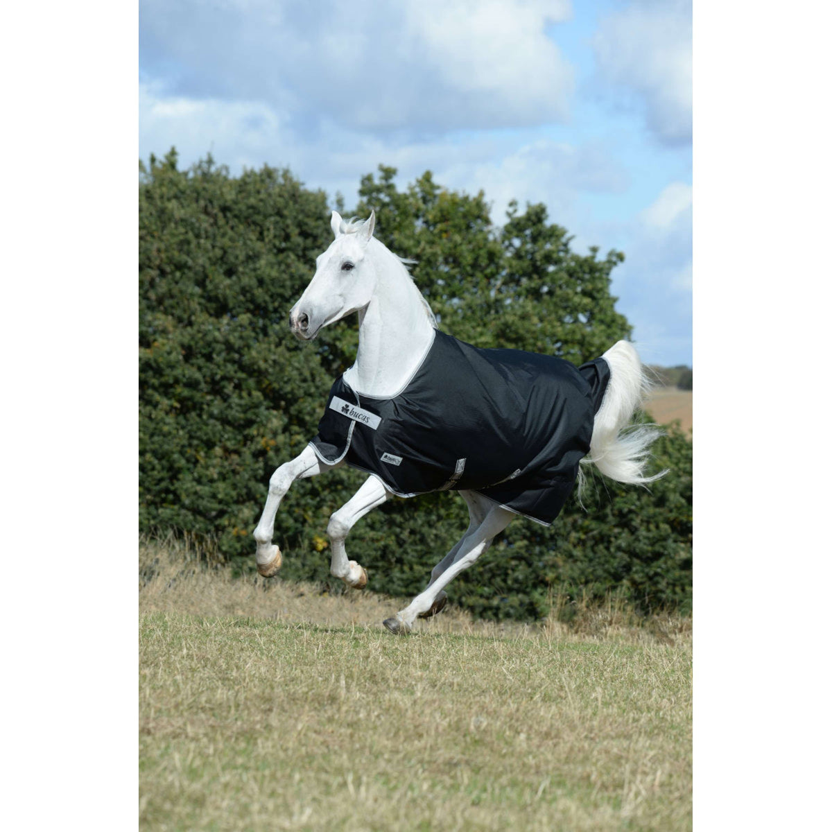 Bucas Anniversary Turnout Stay-dry 100g Sapphire