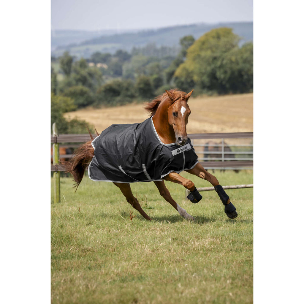 Bucas Anniversary Turnout Stay-dry 150g Sapphire