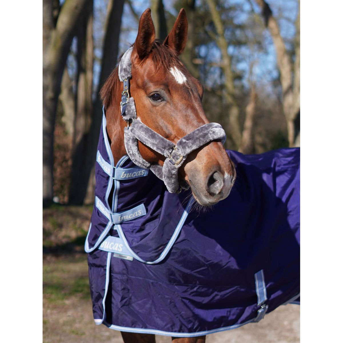 Bucas Atlantic Exclusive con collo Blu navy