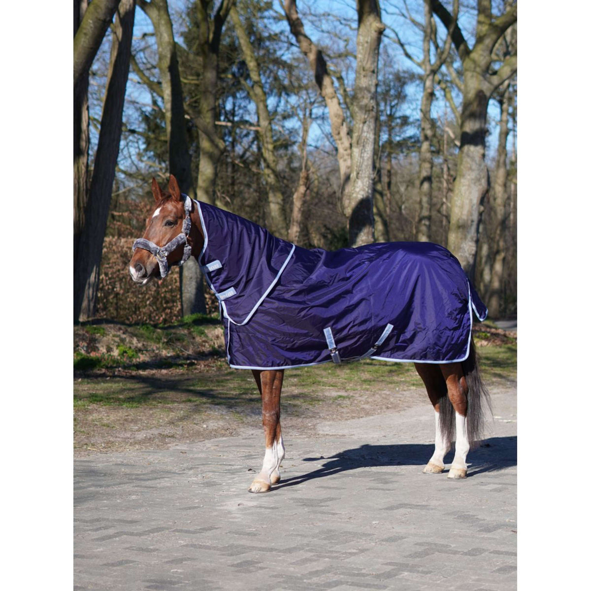 Bucas Atlantic Exclusive con collo Blu navy