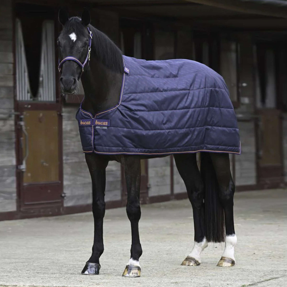 Bucas Therapy Liner Blu marino/arancione