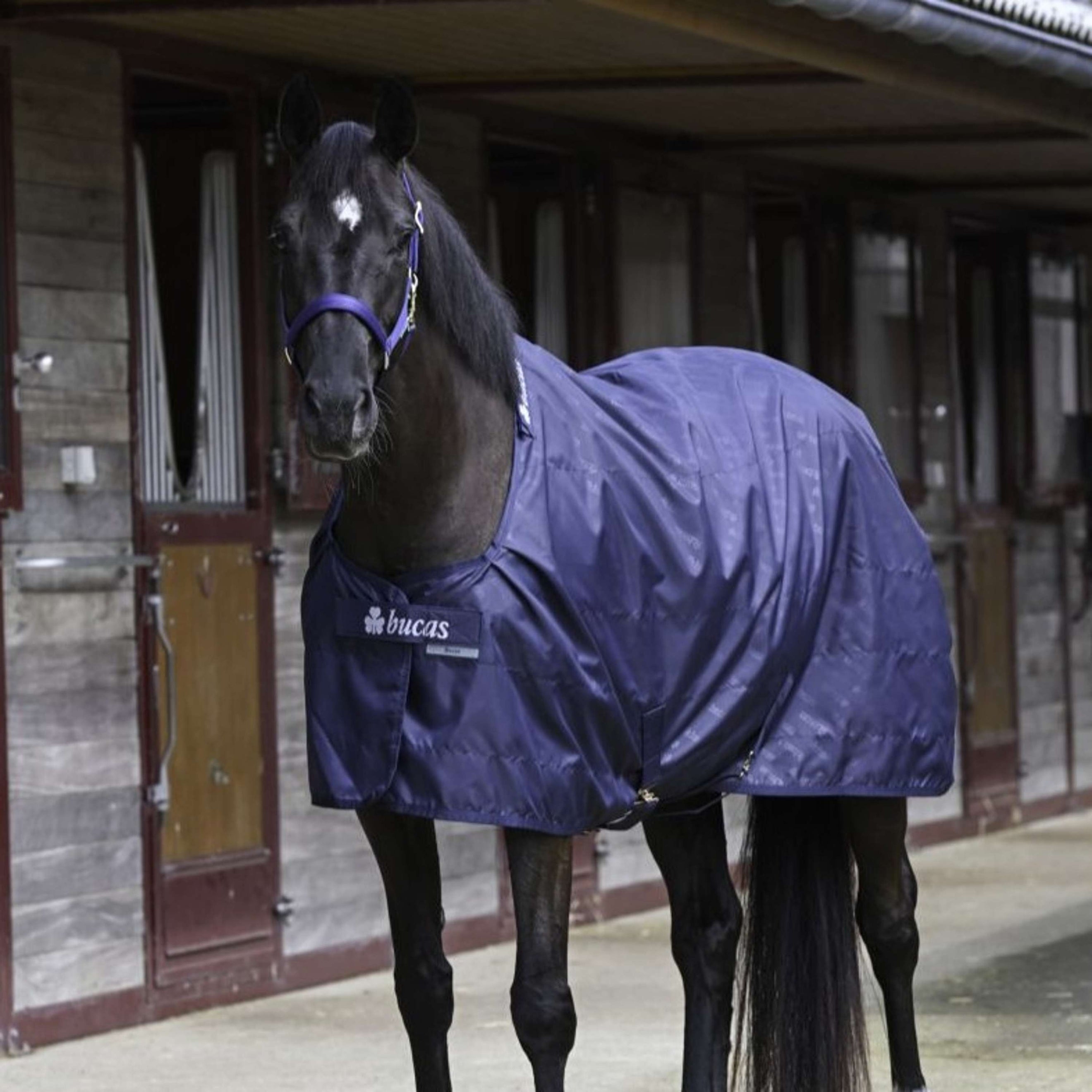 Bucas Stable Sheet 0g Navy/Navy Bucas Stable Sheet 0g Navy/Navy