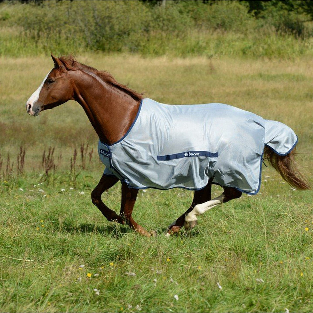 Bucas Buzz-Off Classic Blu