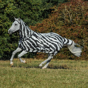Bucas Ronzio fuori Zebra